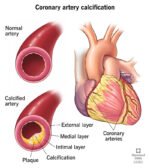 Bone Guard 20000™ – Vitamin D3 + K2 MK-7 - Image 12