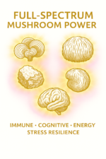 MycoGold™ – Lion’s Mane, Turkey Tail, Chaga + Niacin ( 600 mg ) - Image 7