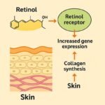 Retinol & Collagen Moisturizer Face Cream - Image 6