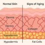 Retinol & Collagen Moisturizer Face Cream - Image 4